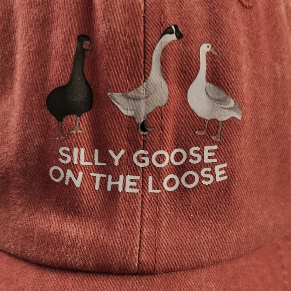 NEW - NEW - HAT, BASEBALL CAP - Geese... SILLY GOOSE ON THE LOOSE - Picture 2 of 5